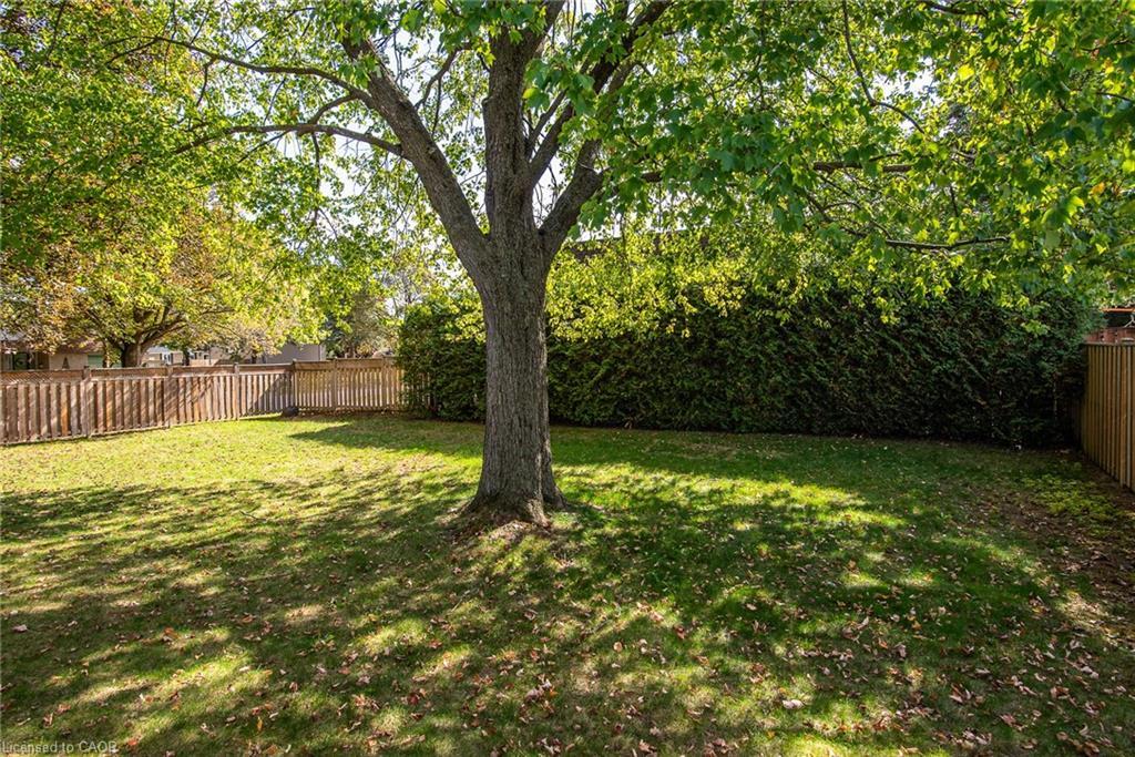 389 Dunvegan Drive, Waterloo, ON - Outdoor