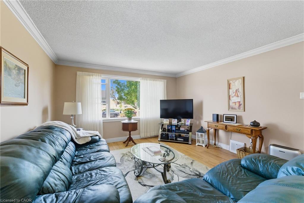446 East 42Nd Street, Hamilton, ON - Indoor Photo Showing Living Room