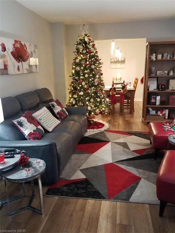 185 Sulmona Drive, Hamilton, ON - Indoor Photo Showing Living Room