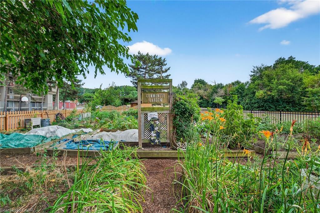 320-350 Quigley Road, Hamilton, ON - Outdoor With Backyard