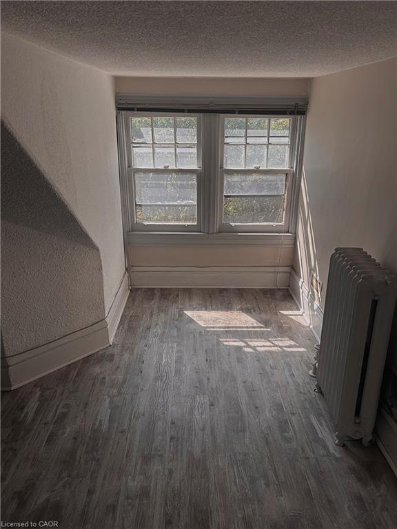 12 Duke Street, Hamilton, ON - Indoor Photo Showing Other Room