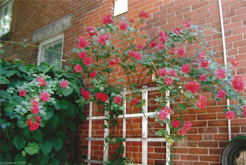 16 Wellington Street E, Brampton, ON - Outdoor