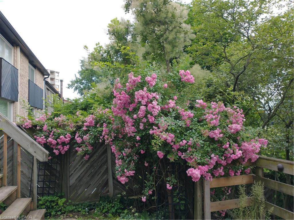 7-1967 Main Street W, Hamilton, ON - Outdoor