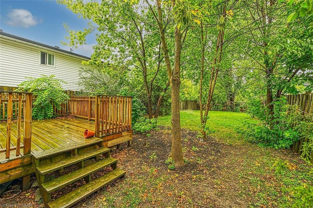 34 Rykert Street, St. Catharines, ON - Outdoor