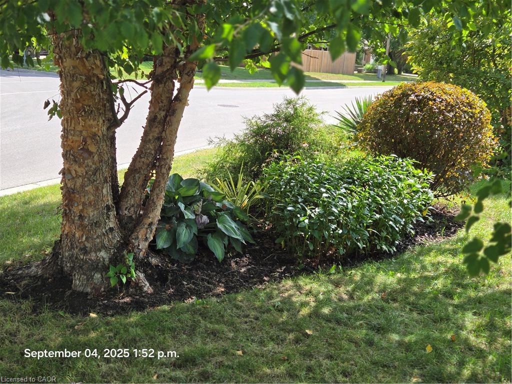 27 Hepburn Avenue, St. Thomas, ON - Outdoor