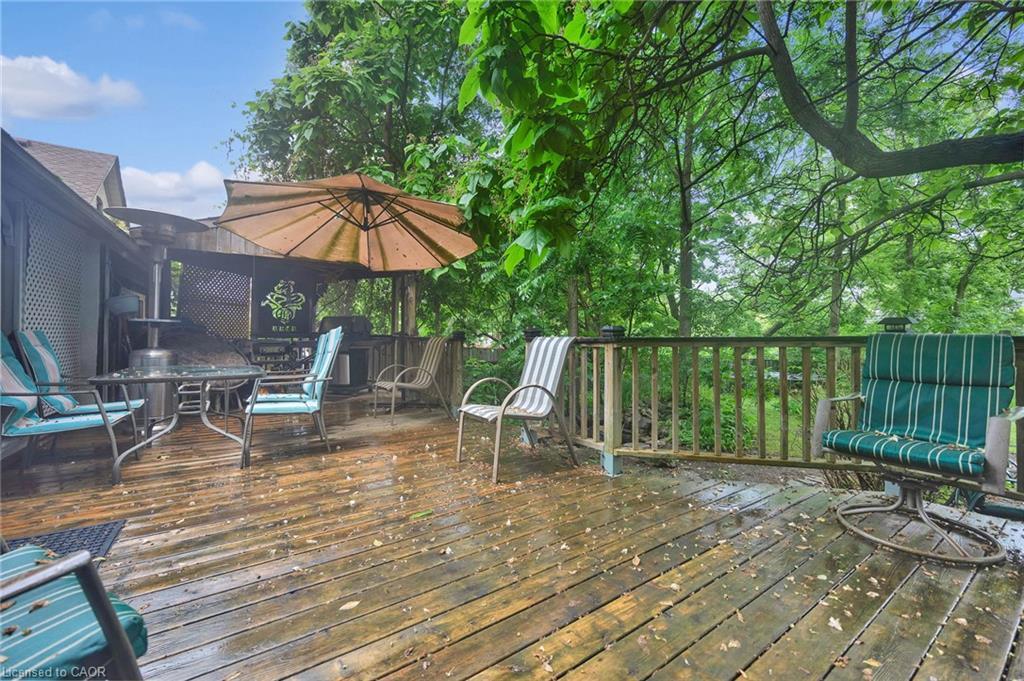 115 Cedar Street, Cambridge, ON - Outdoor With Deck Patio Veranda