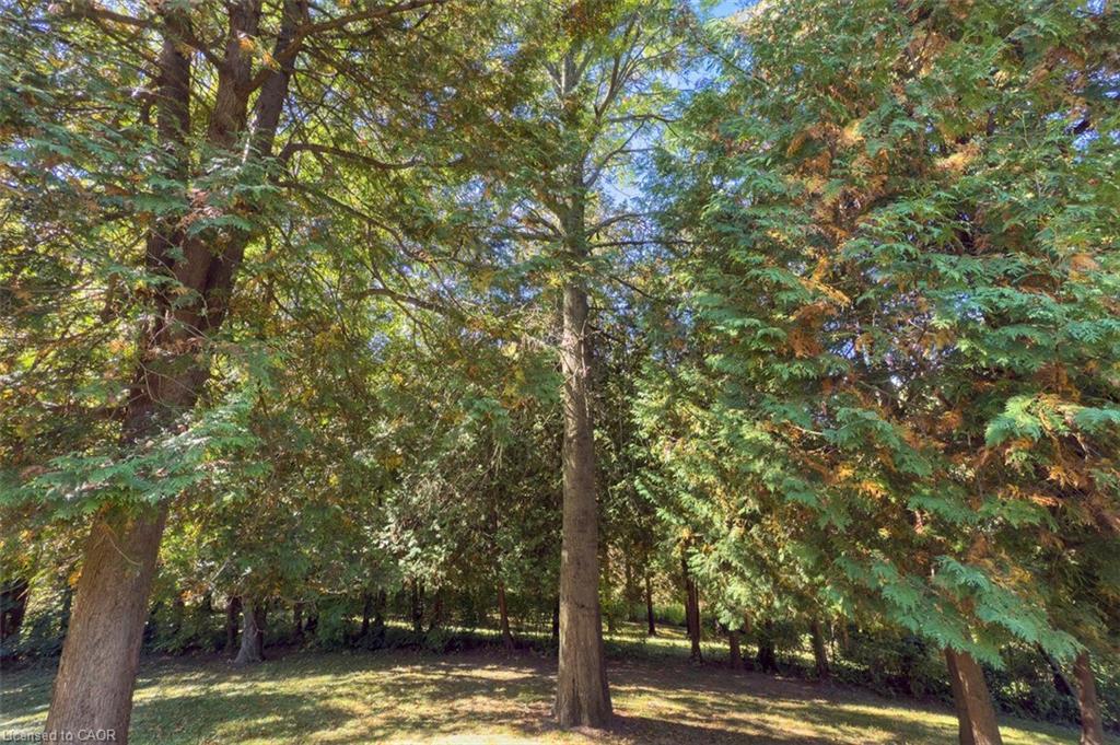 1441 Mineral Springs Road, Hamilton, ON - Outdoor