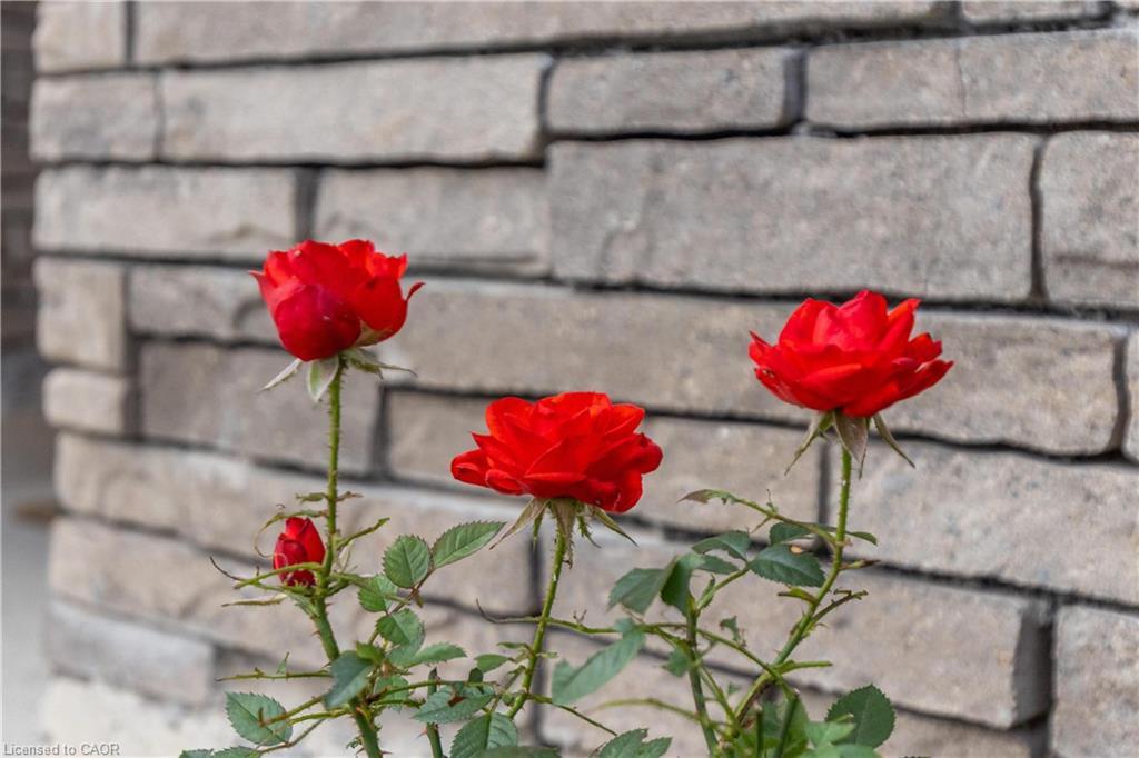 35-8317 Mulberry Drive, Niagara Falls, ON - Outdoor