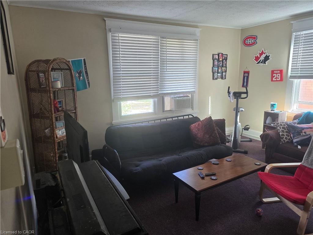 145 Sheridan Street, Brantford, ON - Indoor Photo Showing Living Room