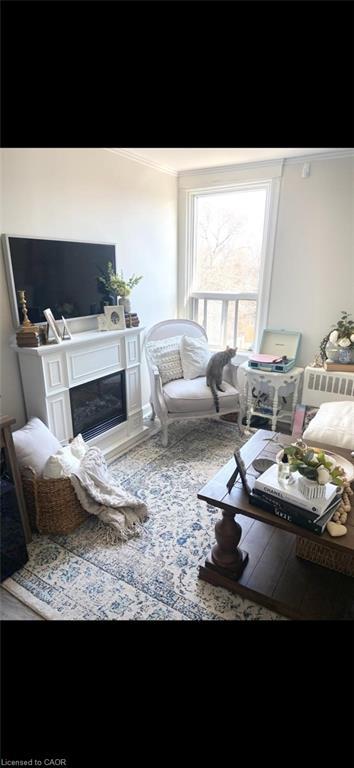2-298 Emerald Street N, Hamilton, ON - Indoor Photo Showing Living Room