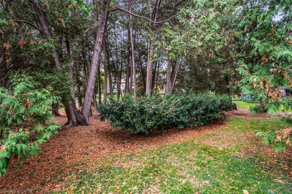 171-295 Water Street, Guelph, ON - Outdoor