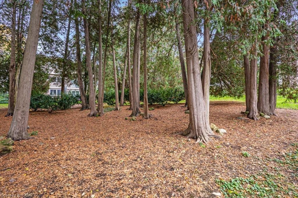 171-295 Water Street, Guelph, ON - Outdoor