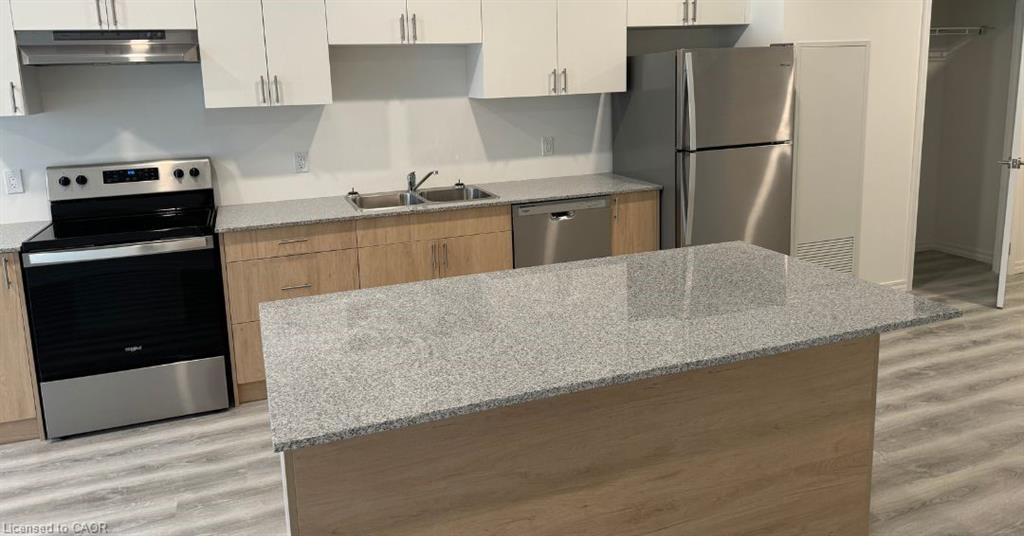 206-1098 Paisley Road, Guelph, ON - Indoor Photo Showing Kitchen With Double Sink