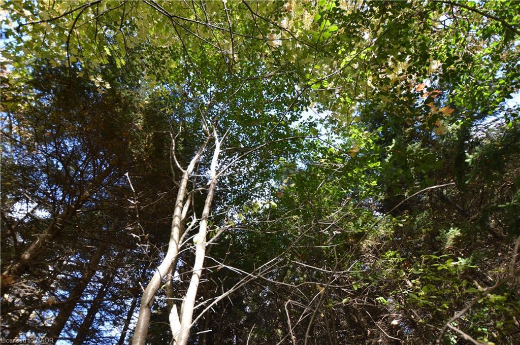 3400 Cedar Springs Road, Burlington, ON - Outdoor