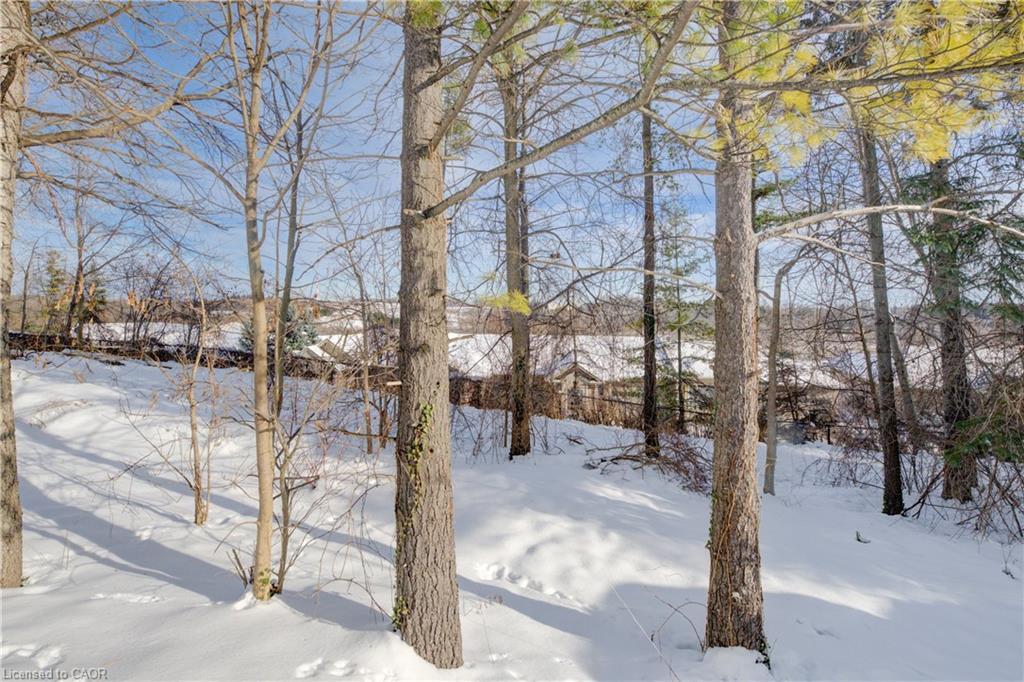 33 Tinatawa Court, Kitchener, ON - Outdoor With View
