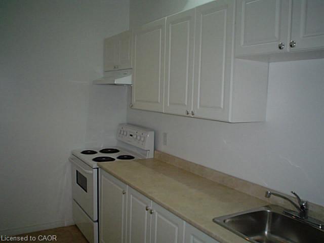 Lower-98 Duke Street, Hamilton, ON - Indoor Photo Showing Kitchen