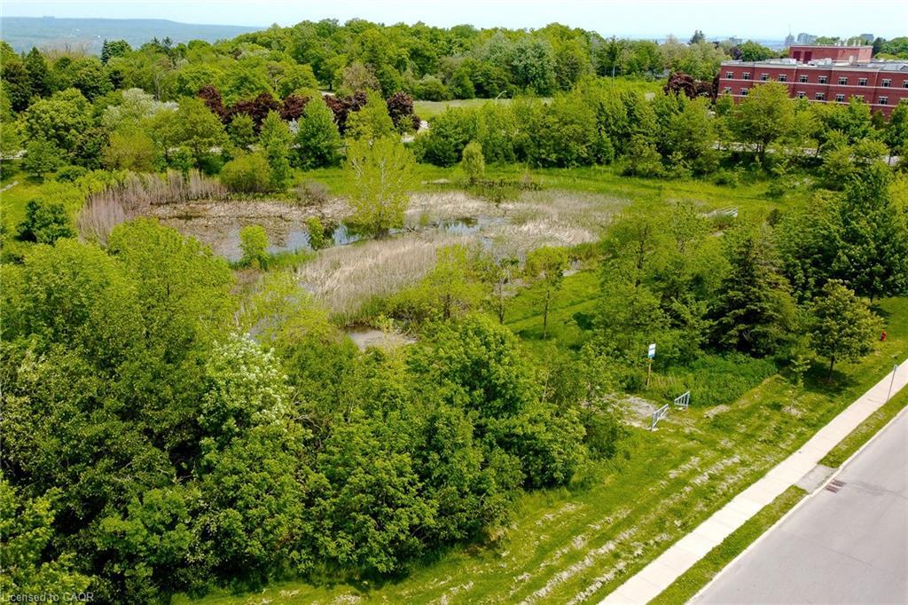217-1 Redfern Avenue, Hamilton, ON - Outdoor With View