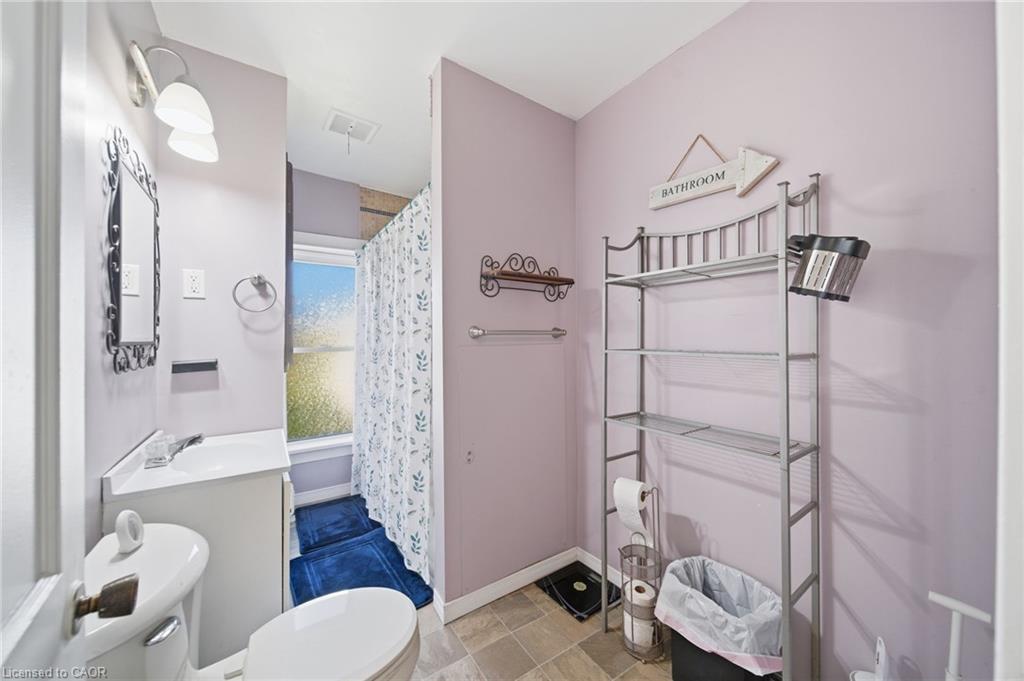 29 Monson Street, Jarvis, ON - Indoor Photo Showing Bathroom