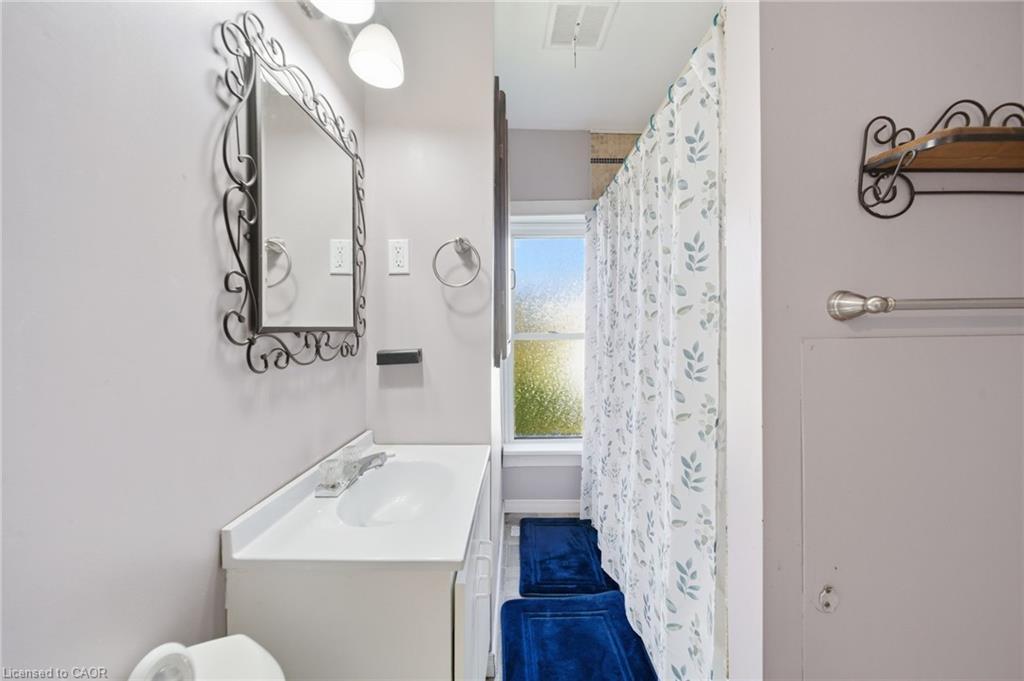 29 Monson Street, Jarvis, ON - Indoor Photo Showing Bathroom