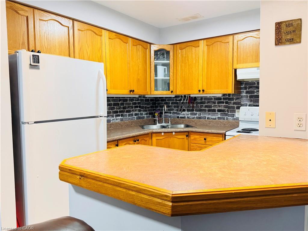 306-24 Ransom Street, Acton, ON - Indoor Photo Showing Kitchen With Double Sink