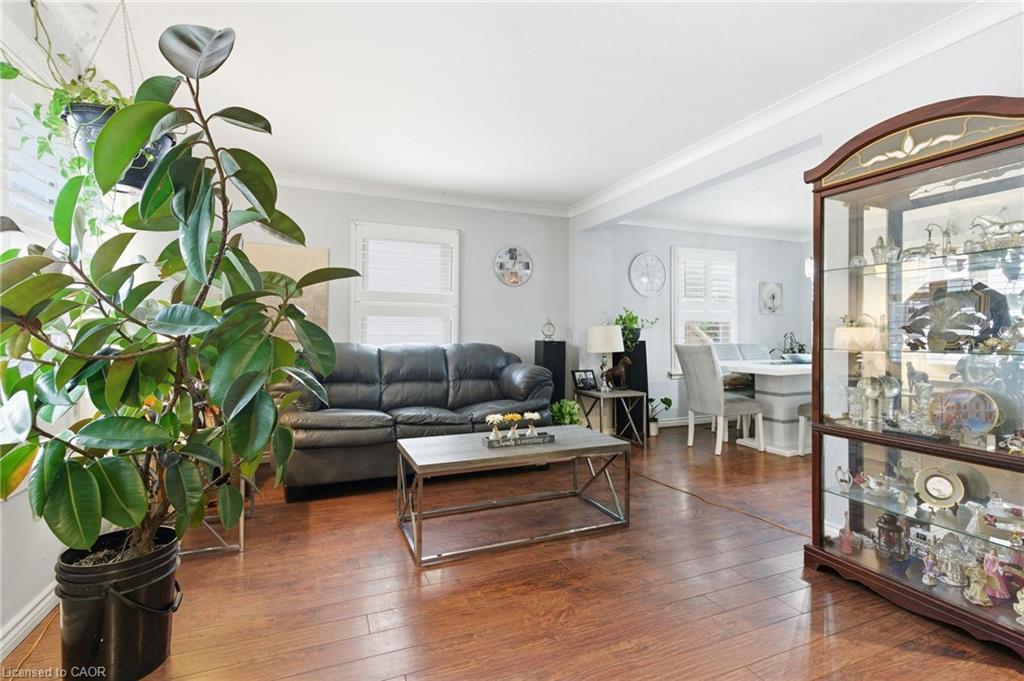 272 Grey Street, Brantford, ON - Indoor Photo Showing Living Room