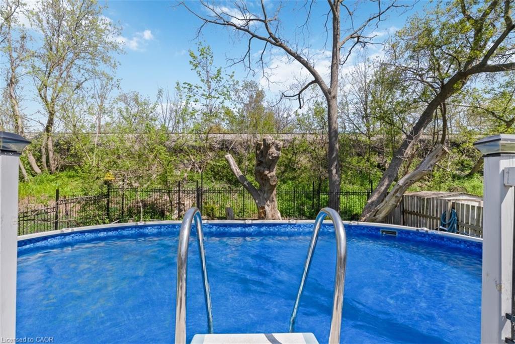 272 Grey Street, Brantford, ON - Outdoor With Above Ground Pool With Backyard