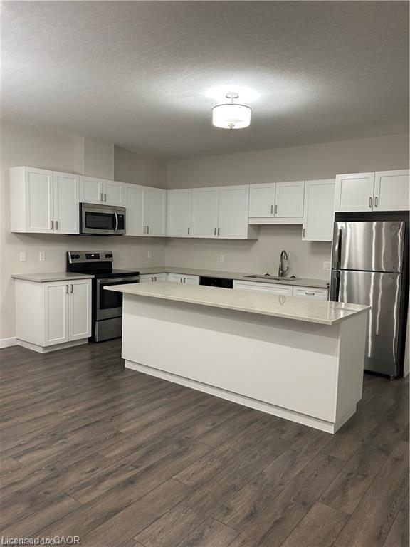 20 Grey Fox Lane, Simcoe, ON - Indoor Photo Showing Kitchen With Stainless Steel Kitchen