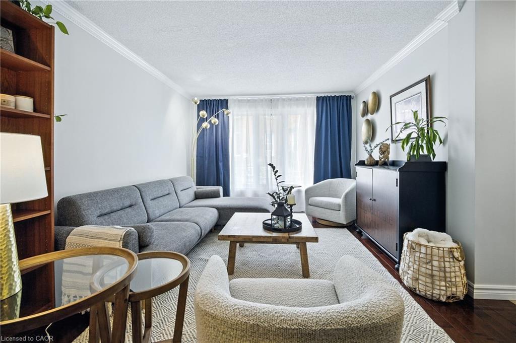 38 Locke Street S, Hamilton, ON - Indoor Photo Showing Living Room