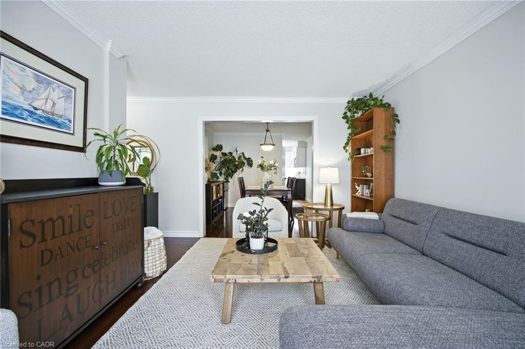 38 Locke Street S, Hamilton, ON - Indoor Photo Showing Living Room