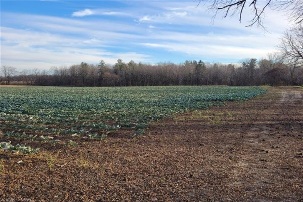 Pt Lt 22 Concession 2 Road W, Flamborough, ON