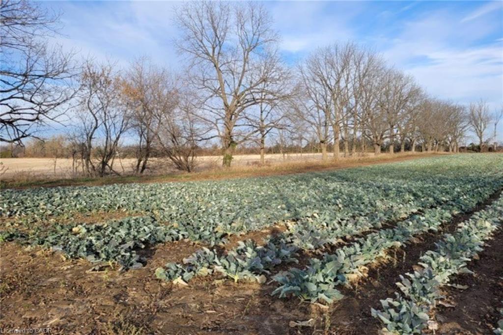 Pt Lt 22 Concession 2 Road W, Flamborough, ON