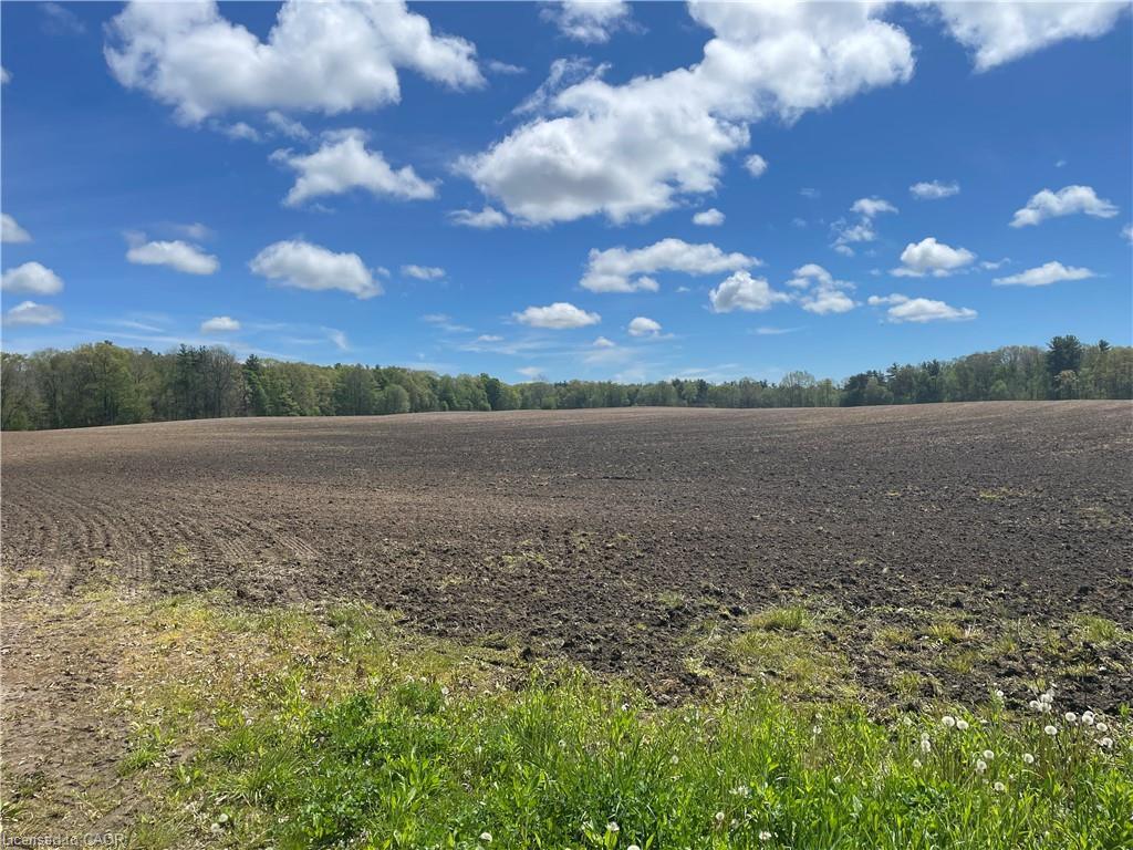 Pt Lt 4 Concession 10 Rd, Lynedoch, ON