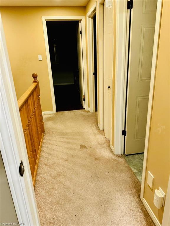 225 Cotton Grass Street, Kitchener, ON - Indoor Photo Showing Other Room
