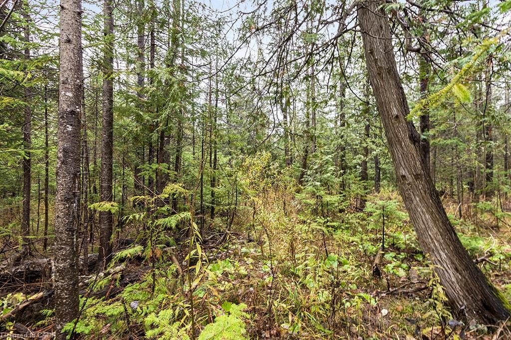 Pt Lt 11 Concession 11, West Grey, ON