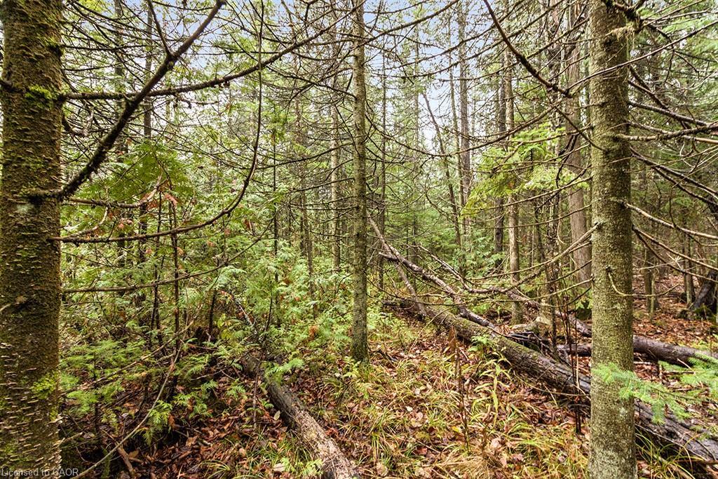 Pt Lt 11 Concession 11, West Grey, ON