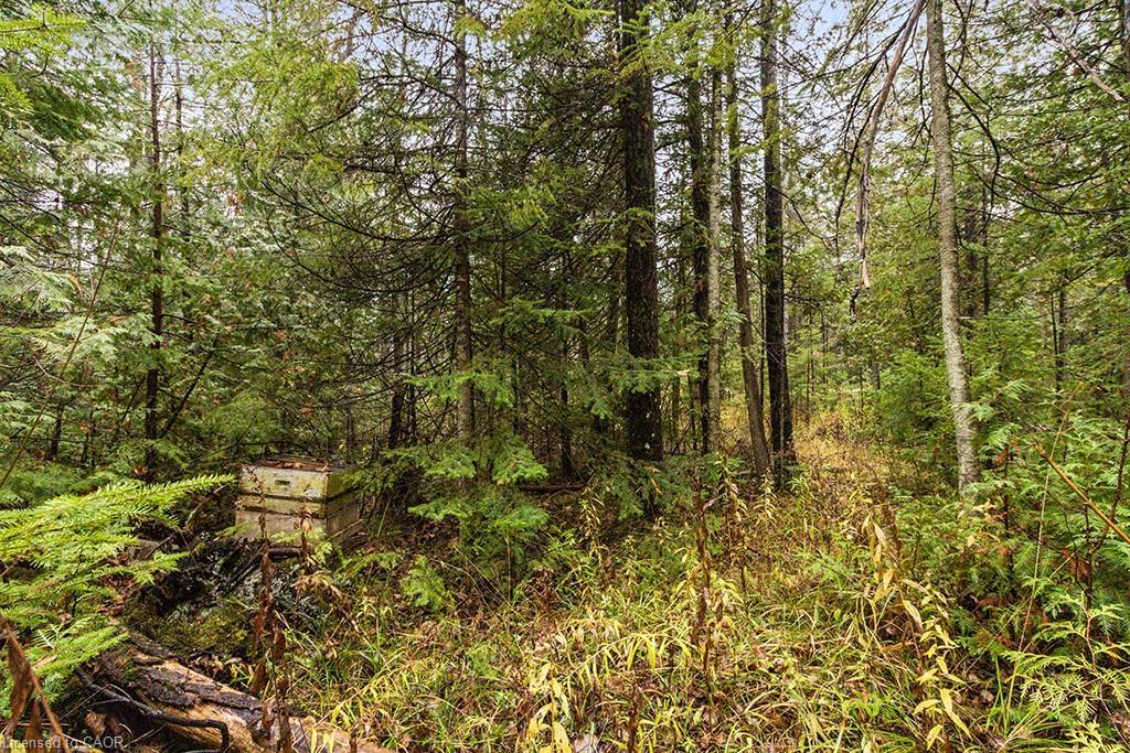 Pt Lt 11 Concession 11, West Grey, ON