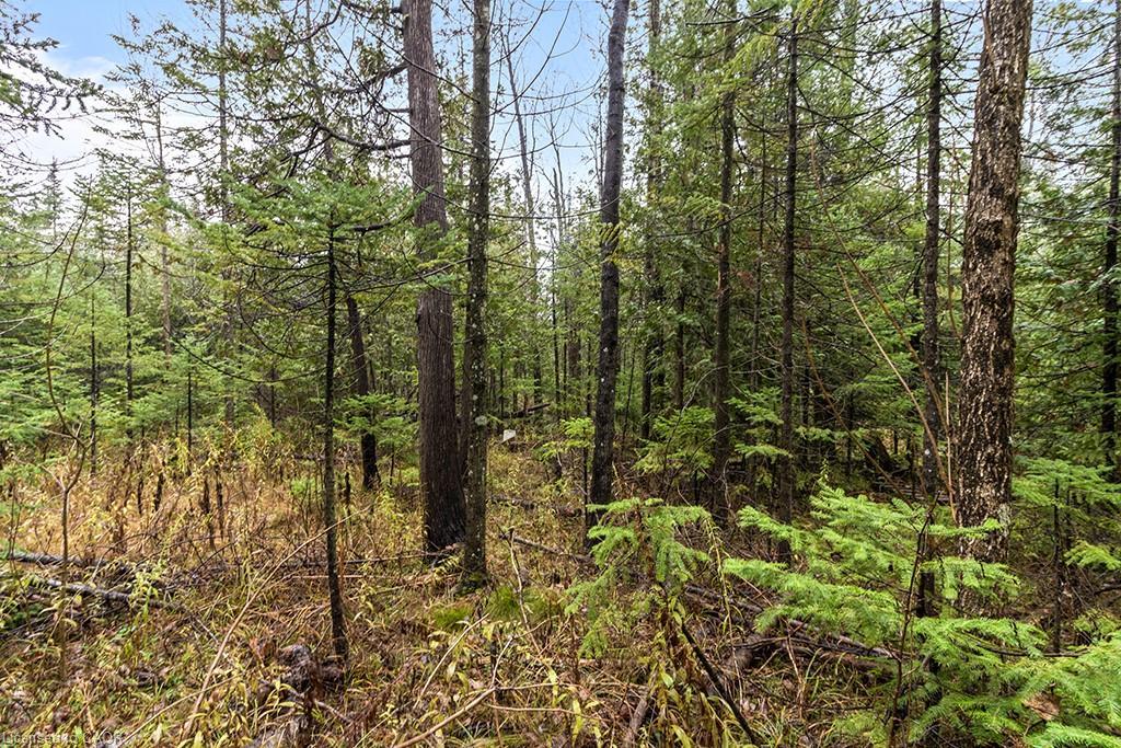 Pt Lt 11 Concession 11, West Grey, ON