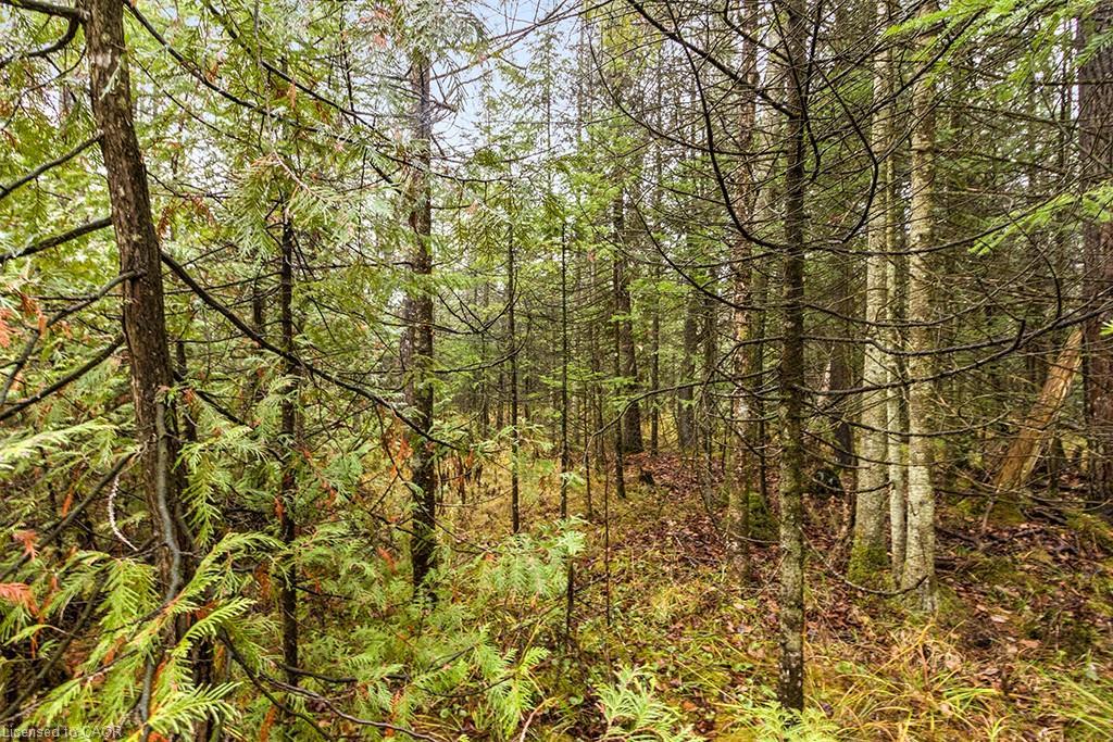 Pt Lt 11 Concession 11, West Grey, ON