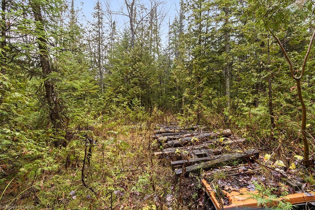 Pt Lt 11 Concession 11, West Grey, ON