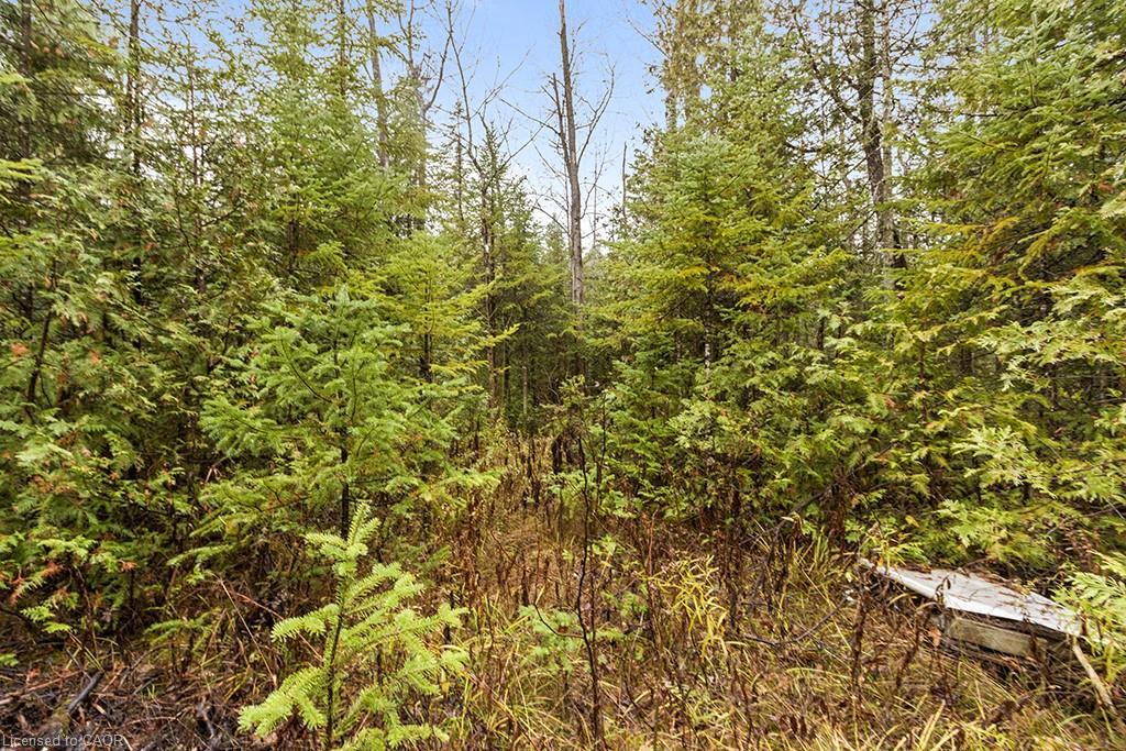 Pt Lt 11 Concession 11, West Grey, ON