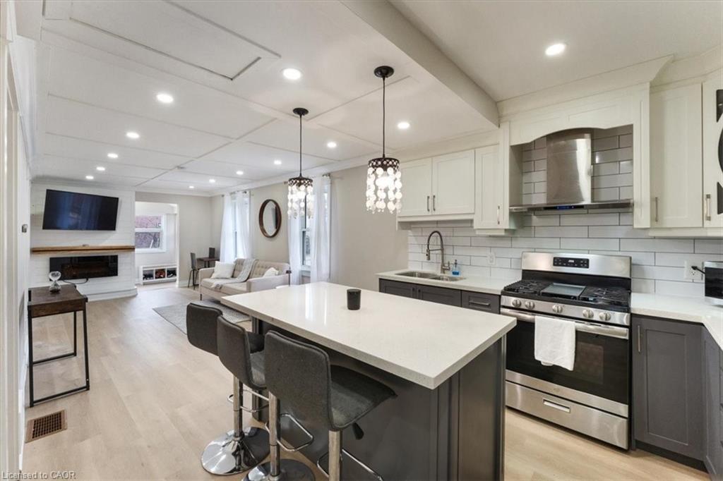 171 Britannia Avenue, Hamilton, ON - Indoor Photo Showing Kitchen With Upgraded Kitchen
