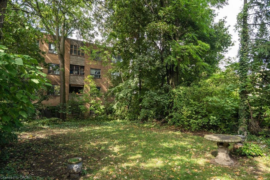 36 Mountwood Avenue, Hamilton, ON - Outdoor