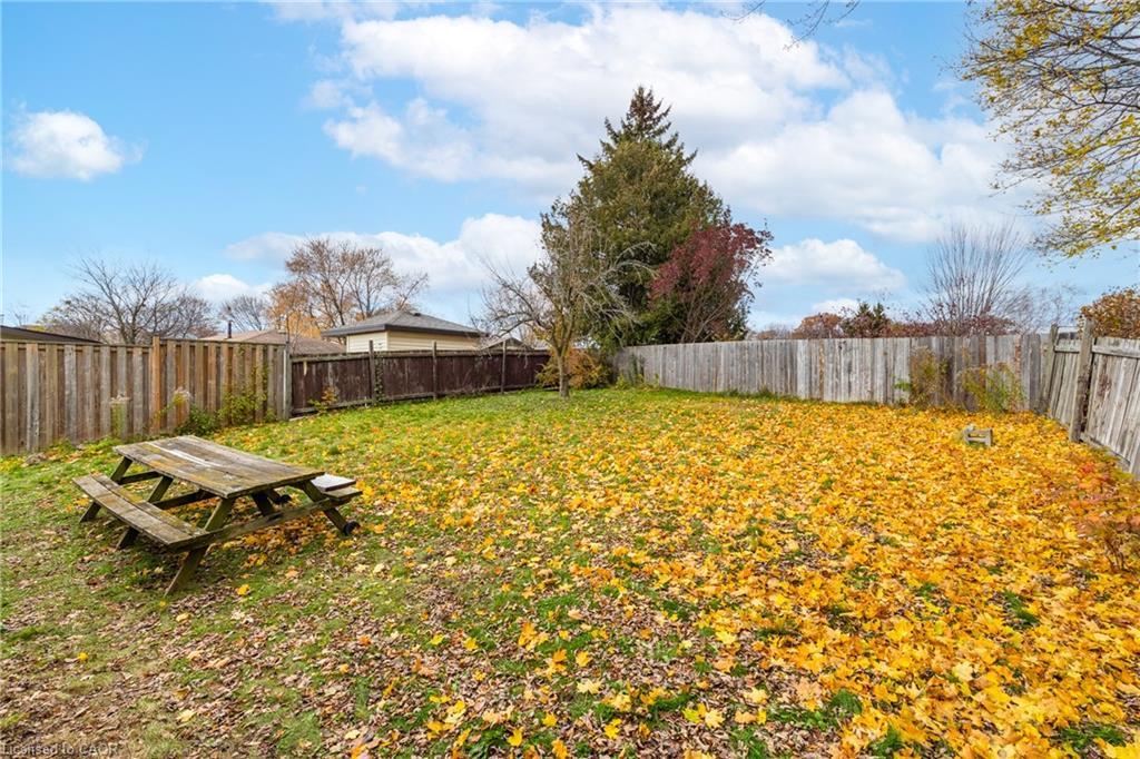 58 Selkirk Drive, Kitchener, ON - Outdoor With Backyard