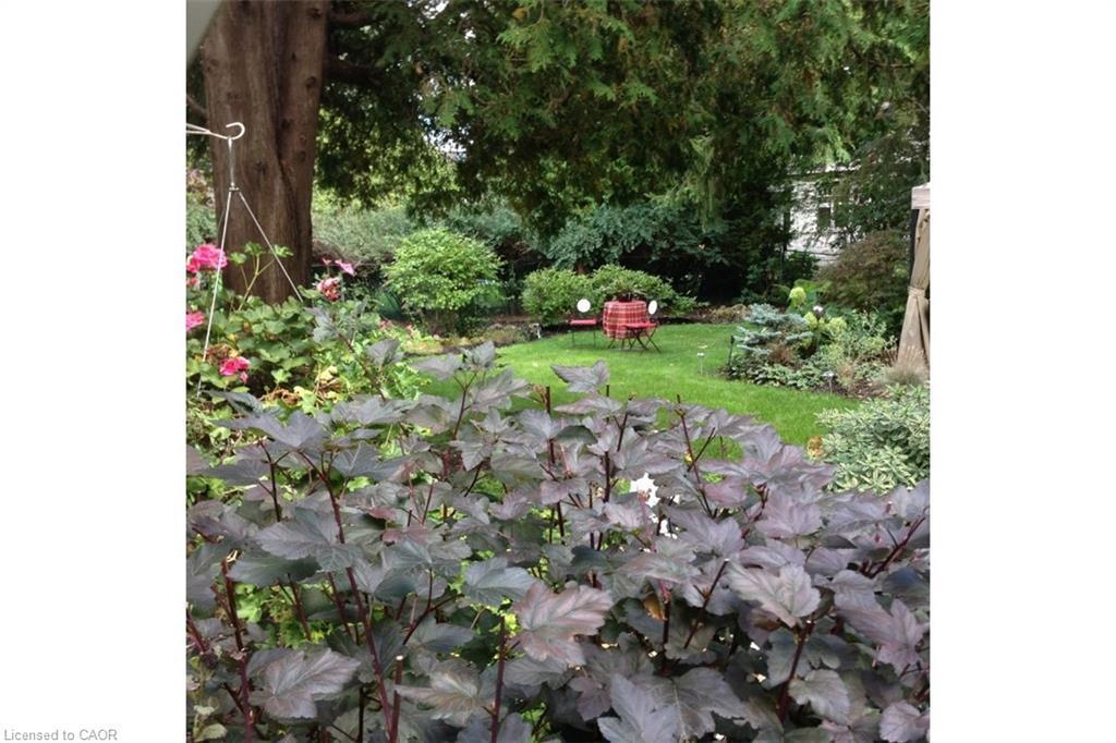 263 Hart Avenue, Burlington, ON -