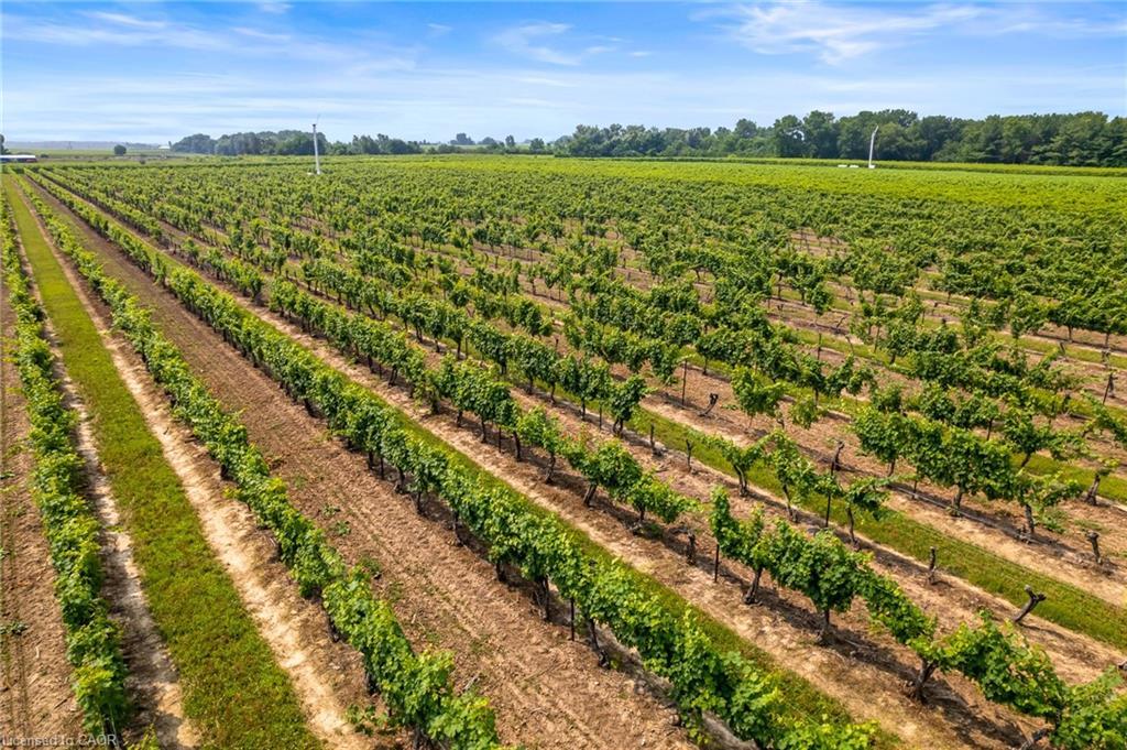 80 Loretta Drive, Virgil, ON - Outdoor With View