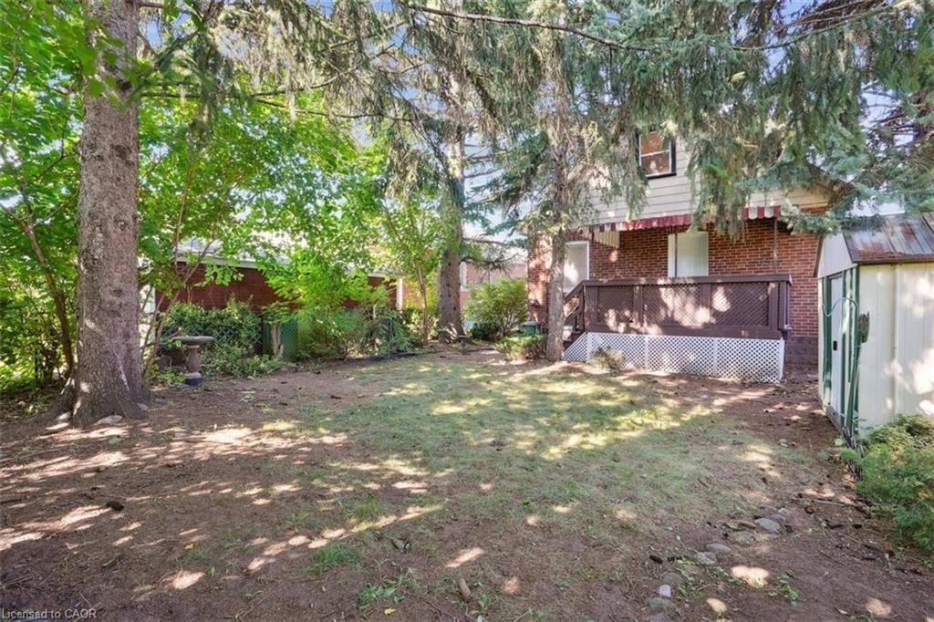 41 Cameron Avenue S, Hamilton, ON - Outdoor With Deck Patio Veranda