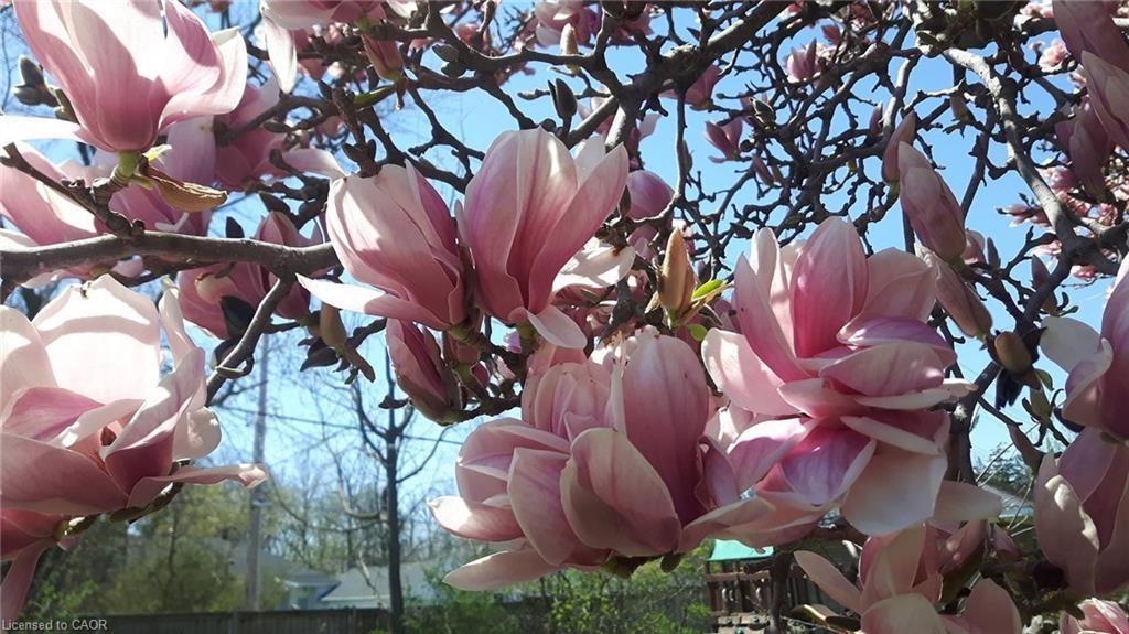 211 Merritt Street, Welland, ON - Outdoor