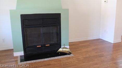 15 Springer Avenue, Hamilton, ON - Indoor Photo Showing Other Room With Fireplace
