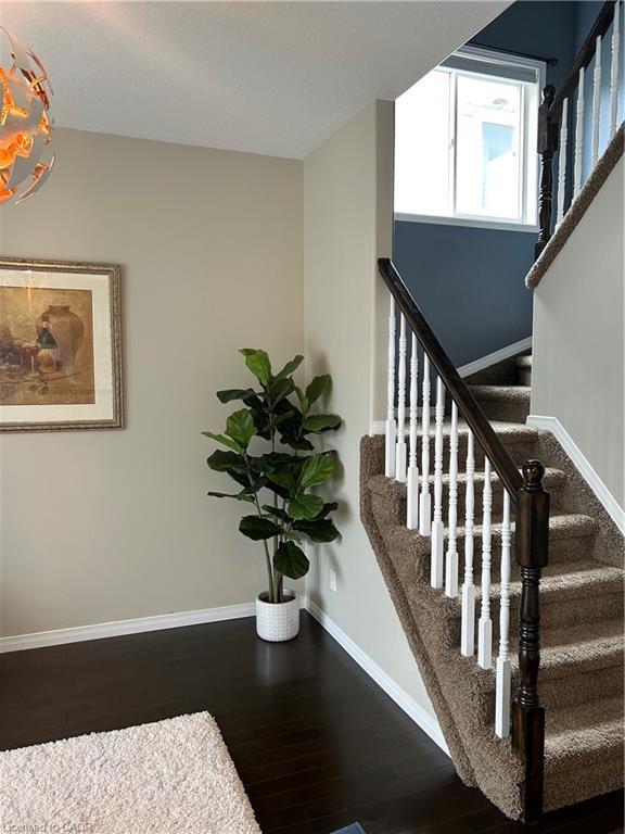 101 Dalgleish Avenue, Kingston, ON - Indoor Photo Showing Other Room