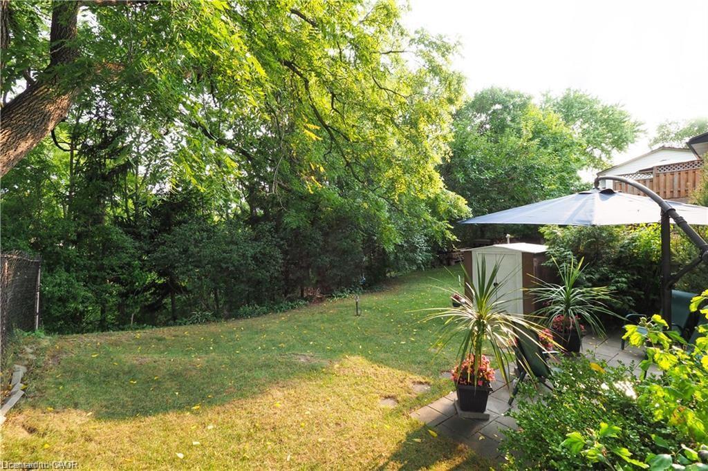 196 Millwood Crescent, Kitchener, ON - Outdoor With Backyard